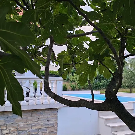 Villa Maria Posedarje